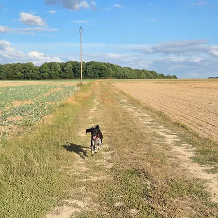 Le Nid De Apartment *